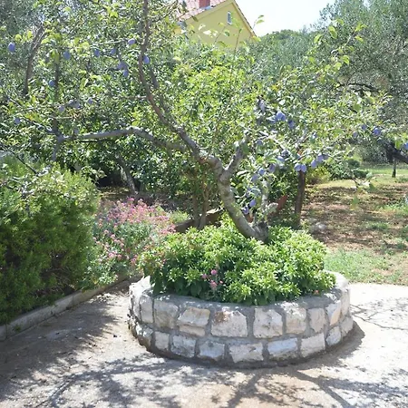 Apartment Vjera Betina (Sibenik-Knin)
