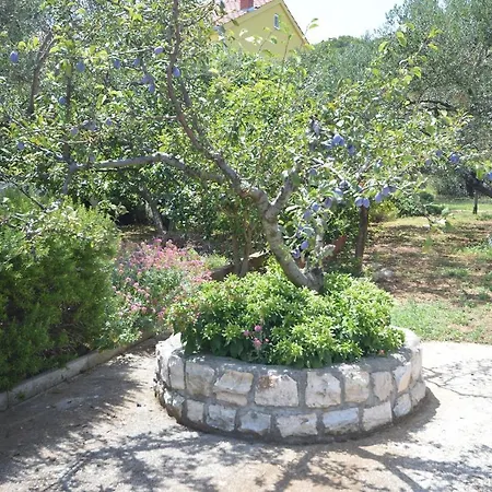 Apartman Vjera Betina (Sibenik-Knin)